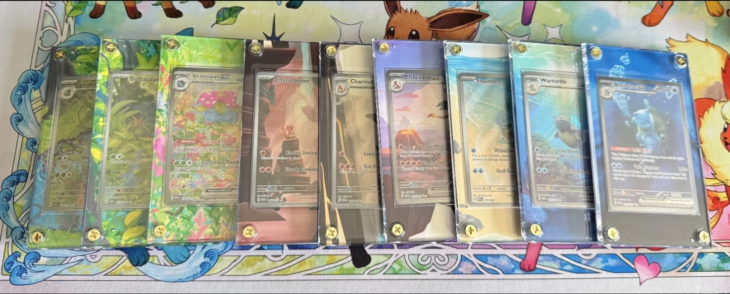 151 starters bundle - Pokémon Extended Artwork Display Cases (No Cards)